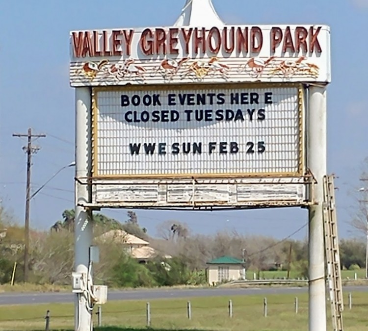 valley-greyhound-park-photo